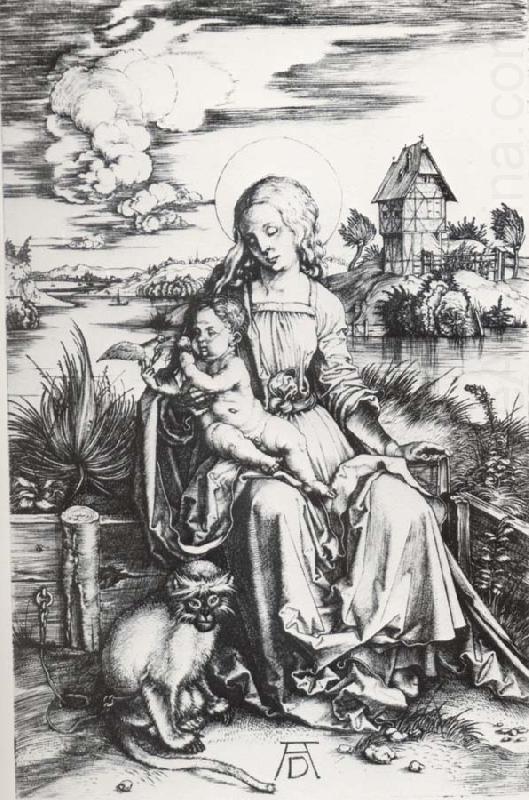 Albrecht Durer The Madonna with the Monkey china oil painting image